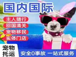 汉中城固空运代理国际宠物托运 【国